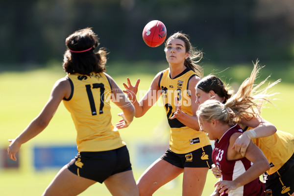 Marsh AFL National Championships U18 Girls 2024 - Western Australia v Queensland - A-52481603