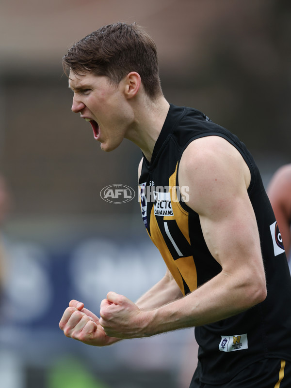 VFL 2024 Round 19 - Werribee v Southport - A-52481610