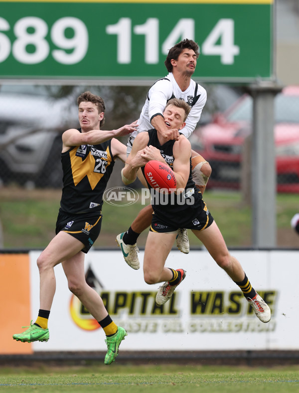 VFL 2024 Round 19 - Werribee v Southport - A-52481613