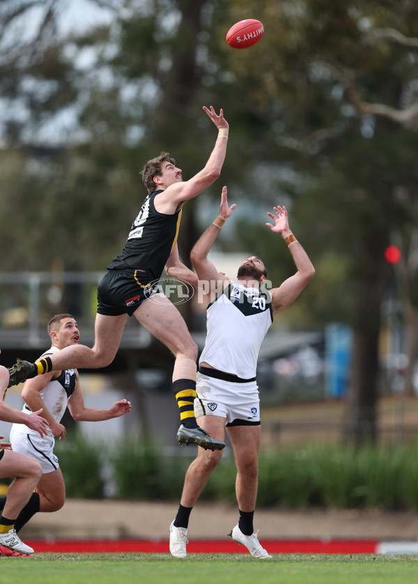 VFL 2024 Round 19 - Werribee v Southport - A-52483034