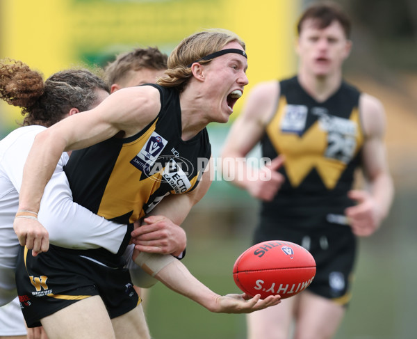 VFL 2024 Round 19 - Werribee v Southport - A-52483035