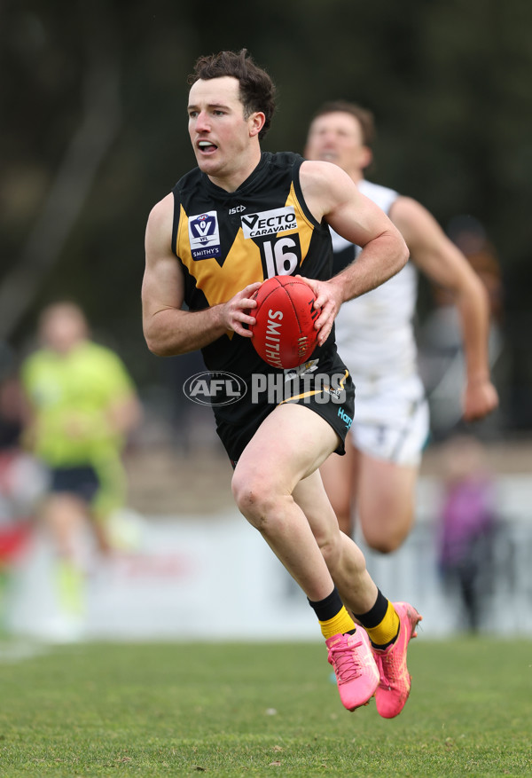 VFL 2024 Round 19 - Werribee v Southport - A-52483082