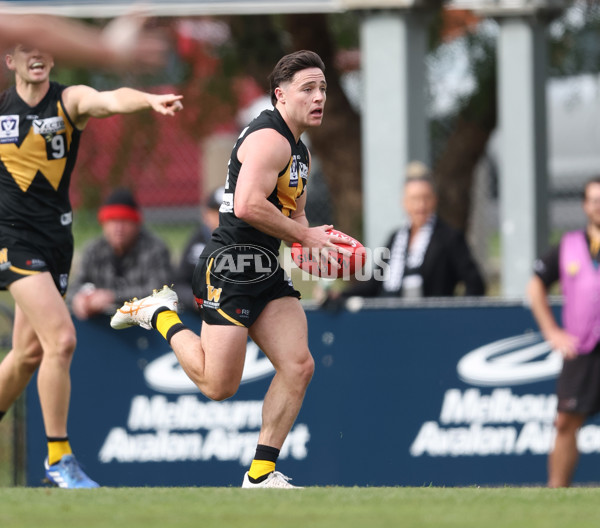 VFL 2024 Round 19 - Werribee v Southport - A-52484338