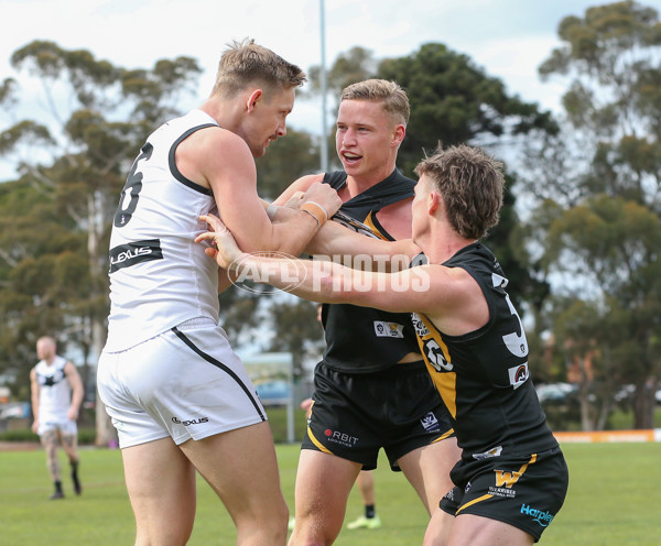 VFL 2024 Round 19 - Werribee v Southport - A-52486106