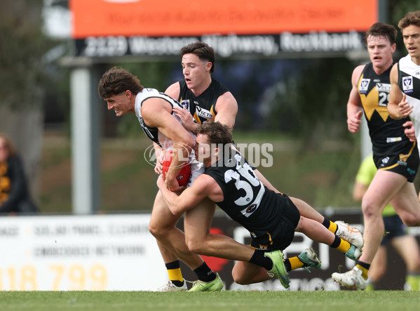 VFL 2024 Round 19 - Werribee v Southport - A-52486109