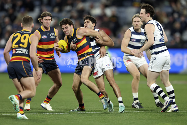 AFL 2024 Round 21 - Geelong v Adelaide - A-52486121