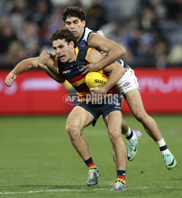 AFL 2024 Round 21 - Geelong v Adelaide - A-52486123