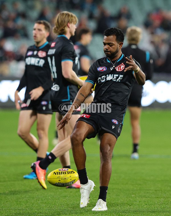 AFL 2024 Round 21 - Port Adelaide v Sydney - A-52486150