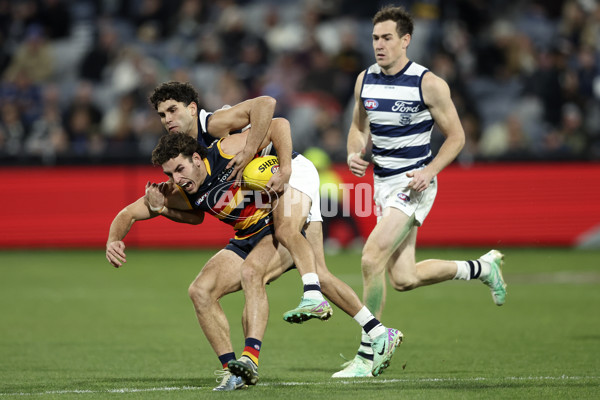 AFL 2024 Round 21 - Geelong v Adelaide - A-52487182