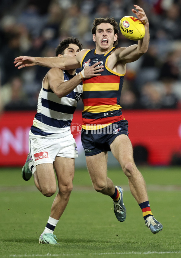 AFL 2024 Round 21 - Geelong v Adelaide - A-52487184