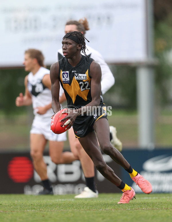 VFL 2024 Round 19 - Werribee v Southport - A-52487240