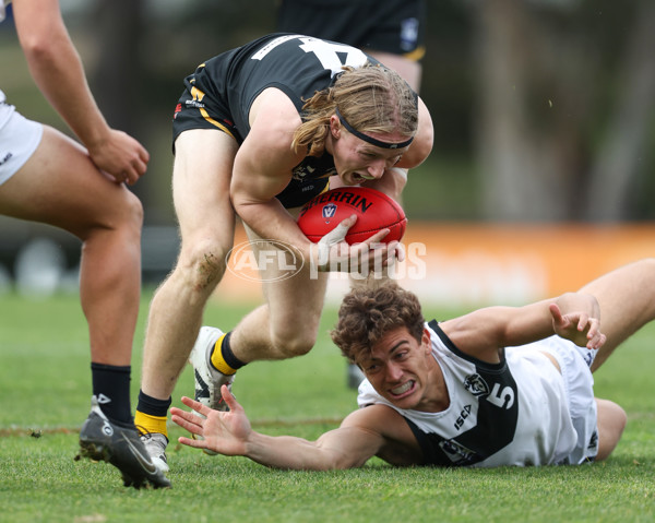 VFL 2024 Round 19 - Werribee v Southport - A-52487242