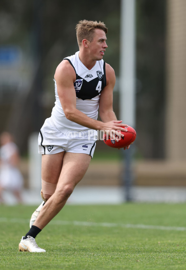 VFL 2024 Round 19 - Werribee v Southport - A-52488204