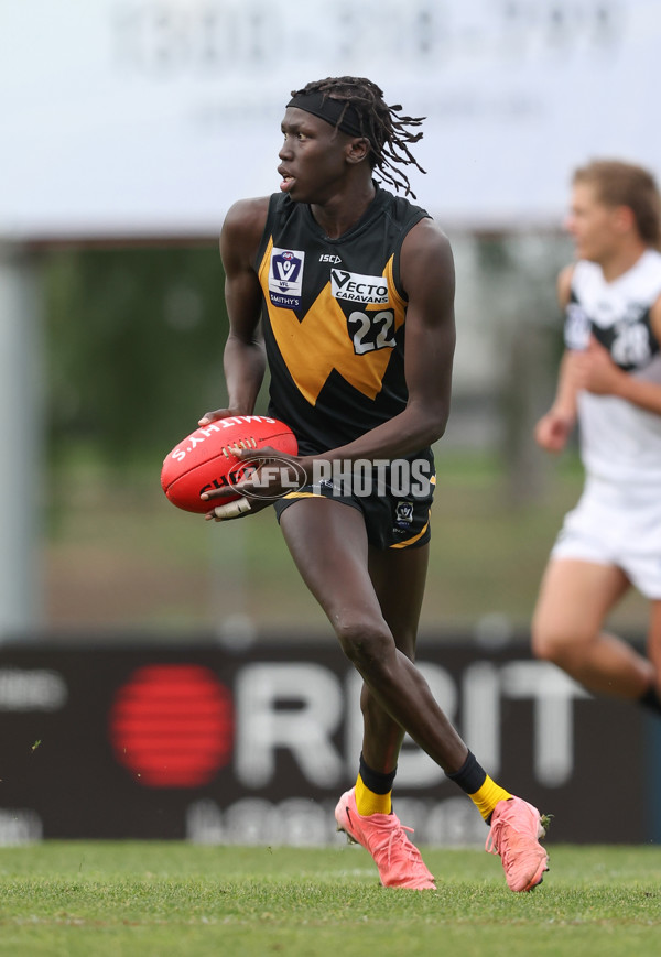 VFL 2024 Round 19 - Werribee v Southport - A-52488206