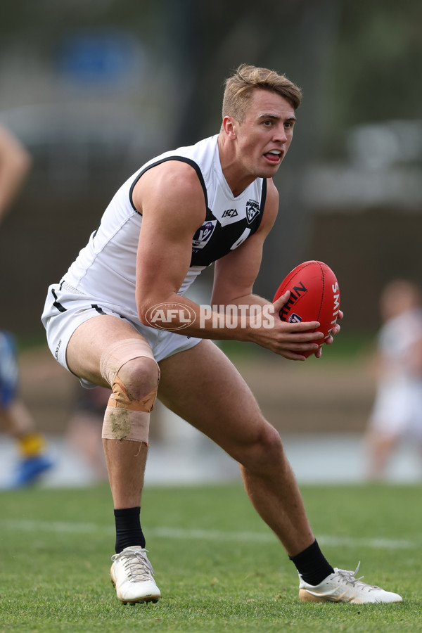 VFL 2024 Round 19 - Werribee v Southport - A-52488207