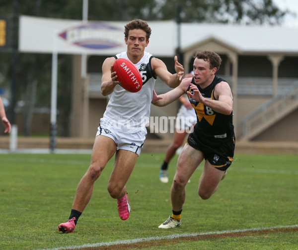 VFL 2024 Round 19 - Werribee v Southport - A-52488241