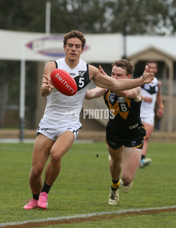 VFL 2024 Round 19 - Werribee v Southport - A-52490008