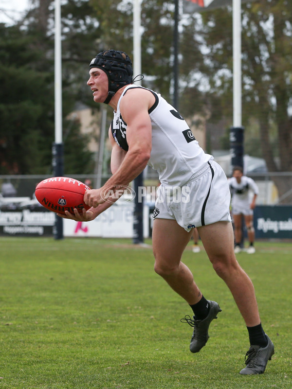 VFL 2024 Round 19 - Werribee v Southport - A-52490009