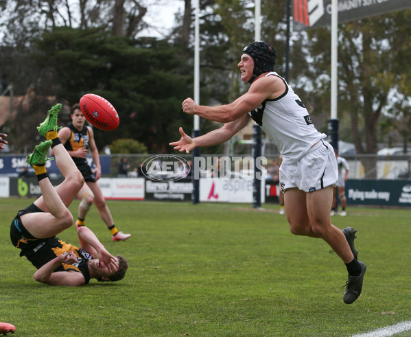 VFL 2024 Round 19 - Werribee v Southport - A-52490012