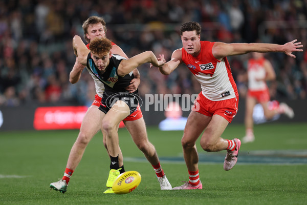 AFL 2024 Round 21 - Port Adelaide v Sydney - A-52490051