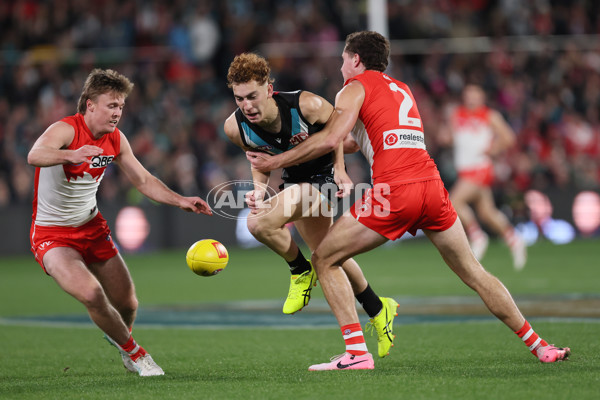 AFL 2024 Round 21 - Port Adelaide v Sydney - A-52490052