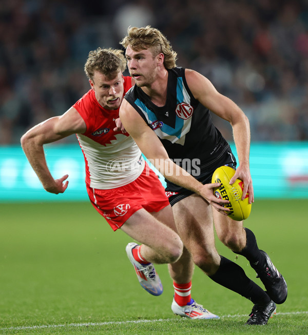AFL 2024 Round 21 - Port Adelaide v Sydney - A-52491140
