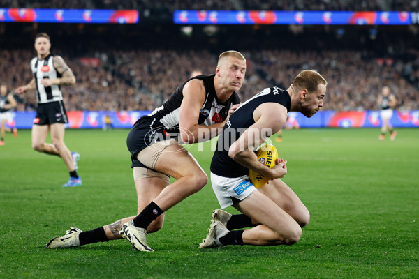 AFL 2024 Round 21 - Collingwood v Carlton - A-52491148