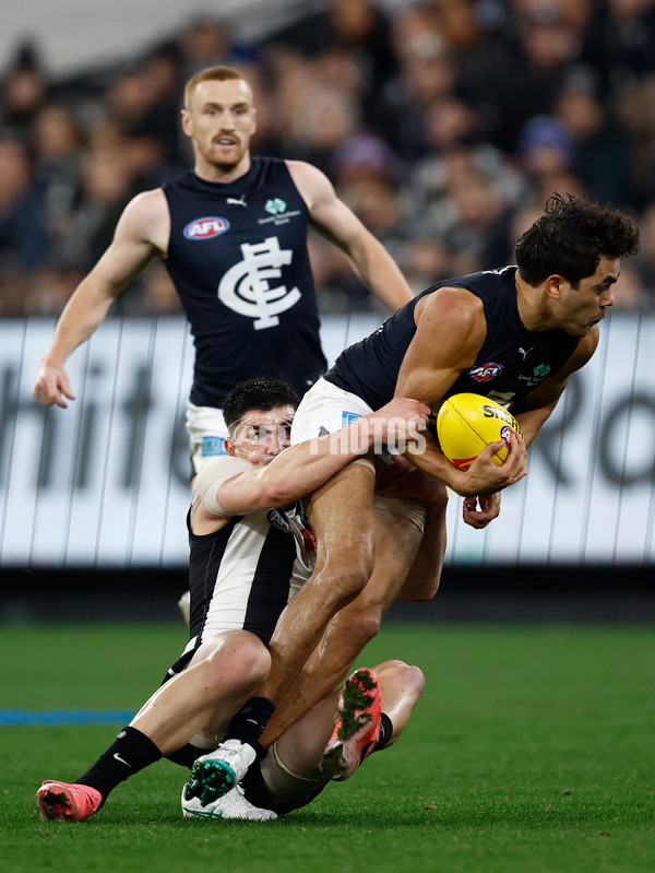 AFL 2024 Round 21 - Collingwood v Carlton - A-52491170