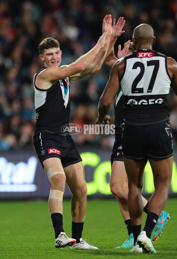 AFL 2024 Round 21 - Port Adelaide v Sydney - A-52491213