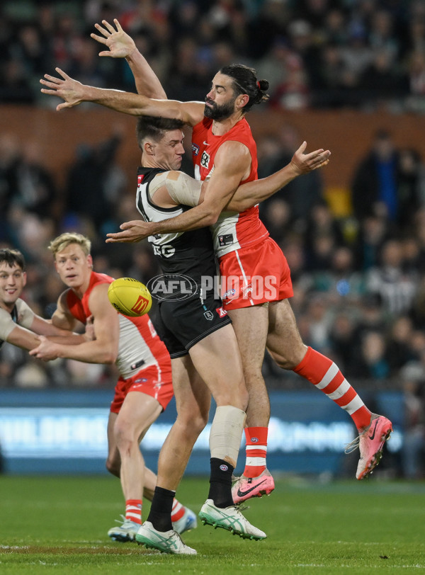 AFL 2024 Round 21 - Port Adelaide v Sydney - A-52492733
