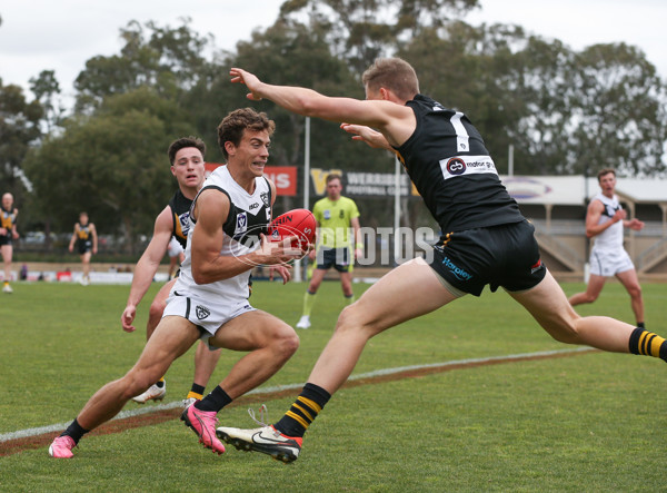 VFL 2024 Round 19 - Werribee v Southport - A-52492755