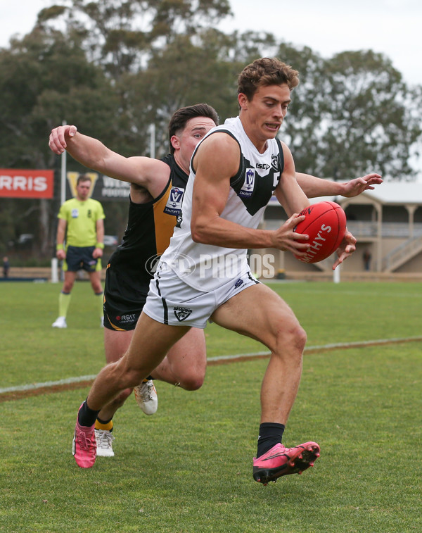 VFL 2024 Round 19 - Werribee v Southport - A-52492758