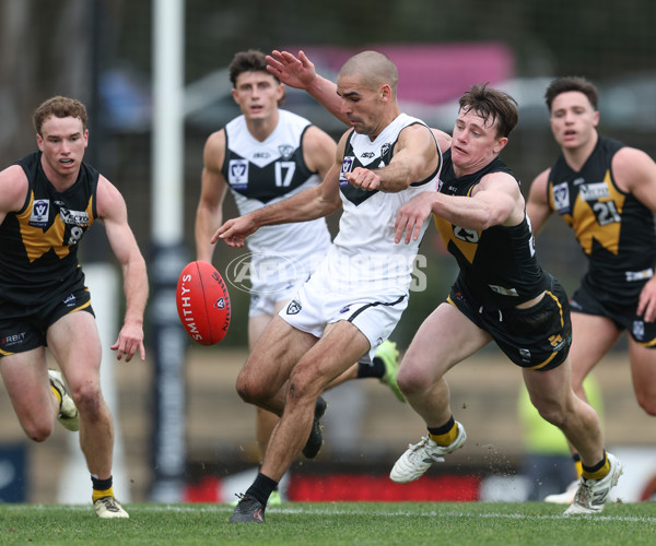 VFL 2024 Round 19 - Werribee v Southport - A-52492760