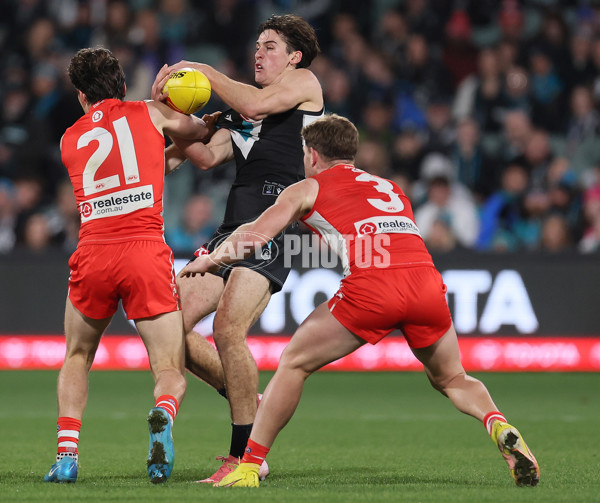AFL 2024 Round 21 - Port Adelaide v Sydney - A-52492784