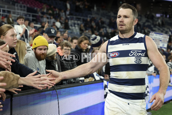 AFL 2024 Round 21 - Geelong v Adelaide - A-52493549