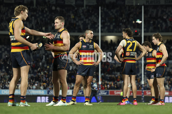 AFL 2024 Round 21 - Geelong v Adelaide - A-52493560