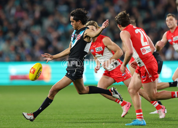 AFL 2024 Round 21 - Port Adelaide v Sydney - A-52493599