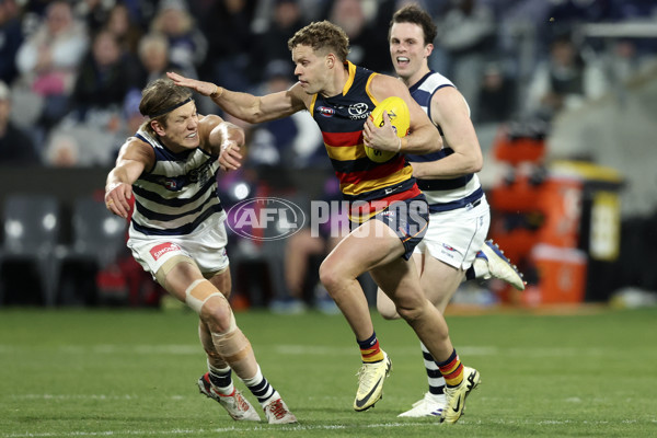 AFL 2024 Round 21 - Geelong v Adelaide - A-52493611