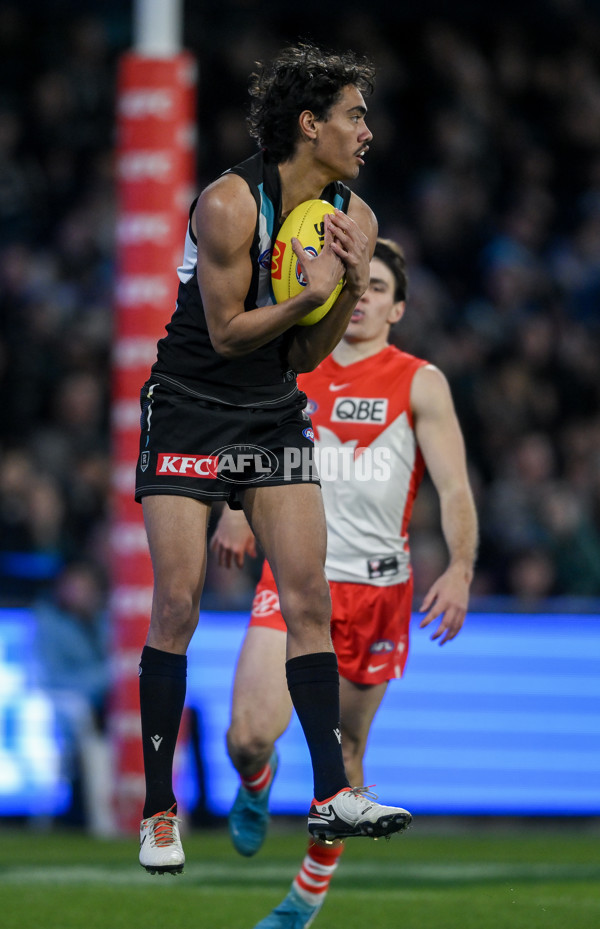 AFL 2024 Round 21 - Port Adelaide v Sydney - A-52495818