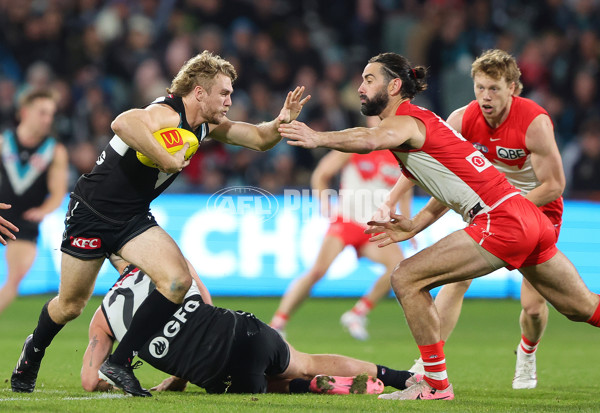 AFL 2024 Round 21 - Port Adelaide v Sydney - A-52495833
