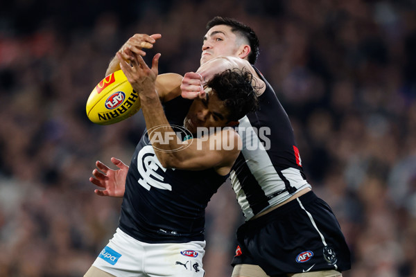 AFL 2024 Round 21 - Collingwood v Carlton - A-52495884