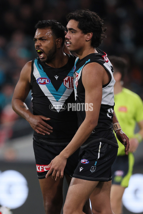 AFL 2024 Round 21 - Port Adelaide v Sydney - A-52495916