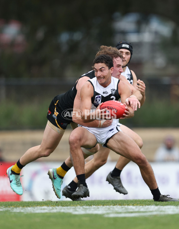 VFL 2024 Round 19 - Werribee v Southport - A-52498194