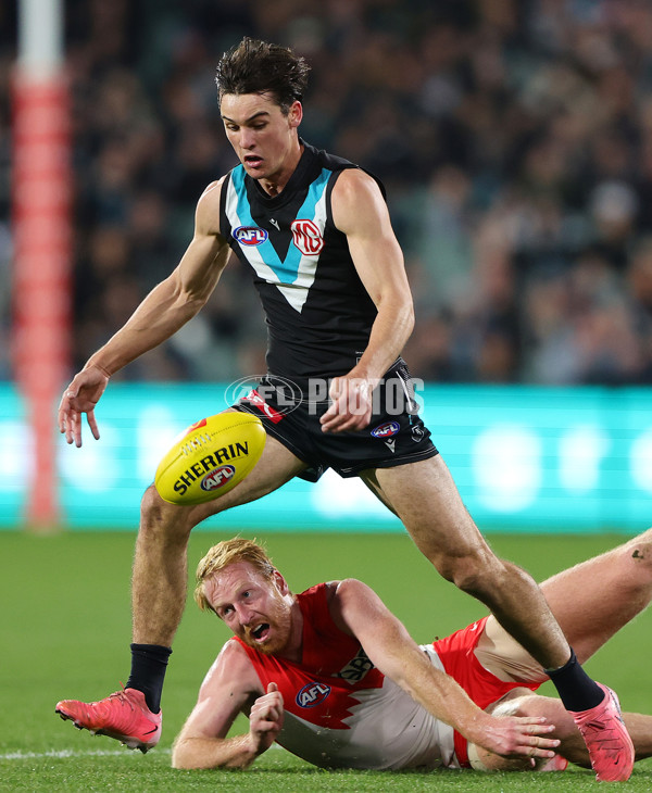 AFL 2024 Round 21 - Port Adelaide v Sydney - A-52498256