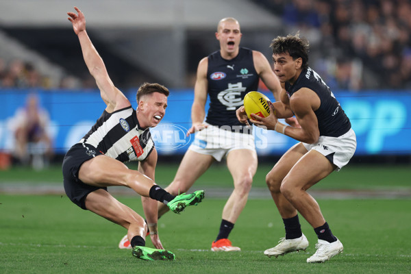 AFL 2024 Round 21 - Collingwood v Carlton - A-52498728