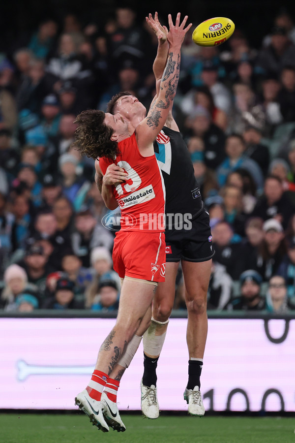 AFL 2024 Round 21 - Port Adelaide v Sydney - A-52498733