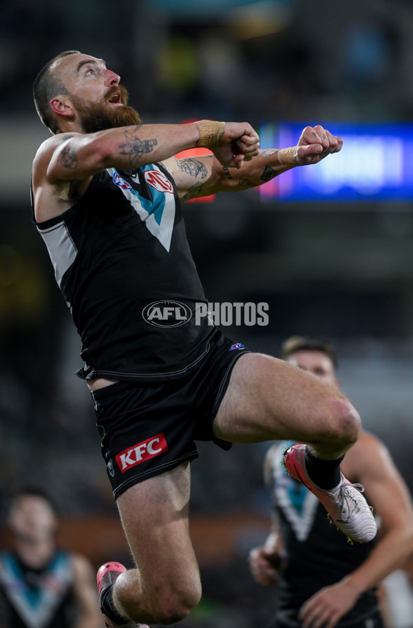 AFL 2024 Round 21 - Port Adelaide v Sydney - A-52500718
