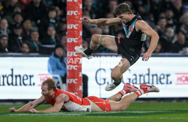 AFL 2024 Round 21 - Port Adelaide v Sydney - A-52500726