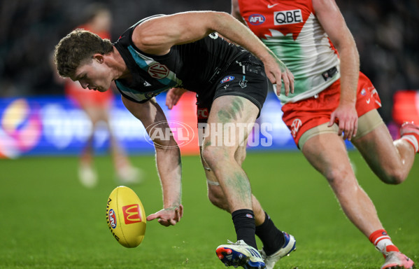 AFL 2024 Round 21 - Port Adelaide v Sydney - A-52500732