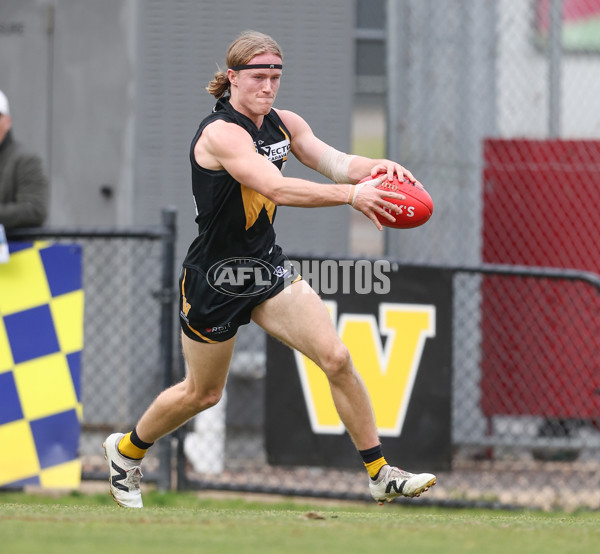 VFL 2024 Round 19 - Werribee v Southport - A-52500769